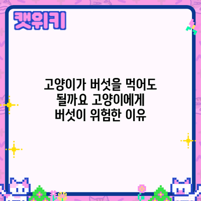 고양이가 버섯을 먹어도 될까요? 고양이에게 버섯이 위험한 이유