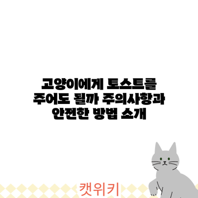 고양이에게 토스트를 주어도 될까? 주의사항과 안전한 방법 소개
