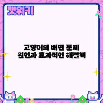 고양이의 배변 문제: 원인과 효과적인 해결책