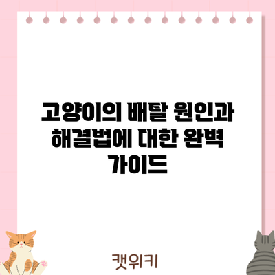 고양이의 배탈: 원인과 해결법에 대한 완벽 가이드