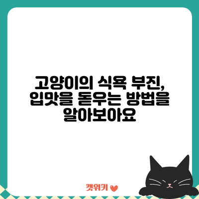 고양이의 식욕 부진, 입맛을 돋우는 방법을 알아보아요