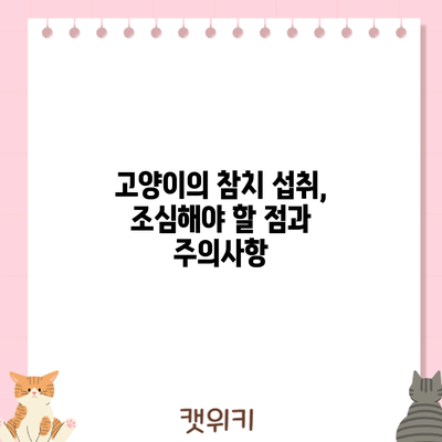 고양이의 참치 섭취, 조심해야 할 점과 주의사항