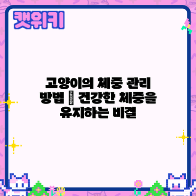 고양이의 체중 관리 방법 – 건강한 체중을 유지하는 비결