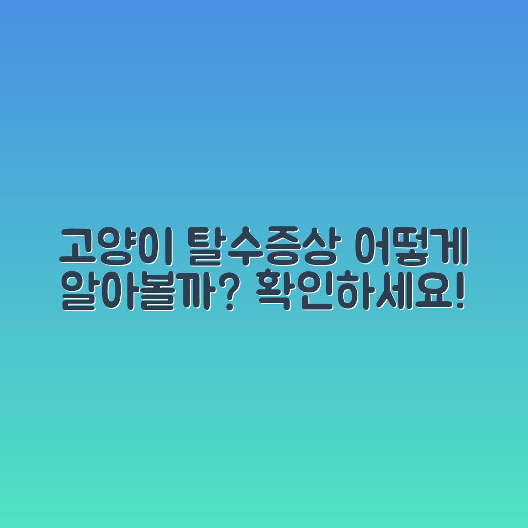 고양이 탈수 증상, 어떻게 알아볼까요?