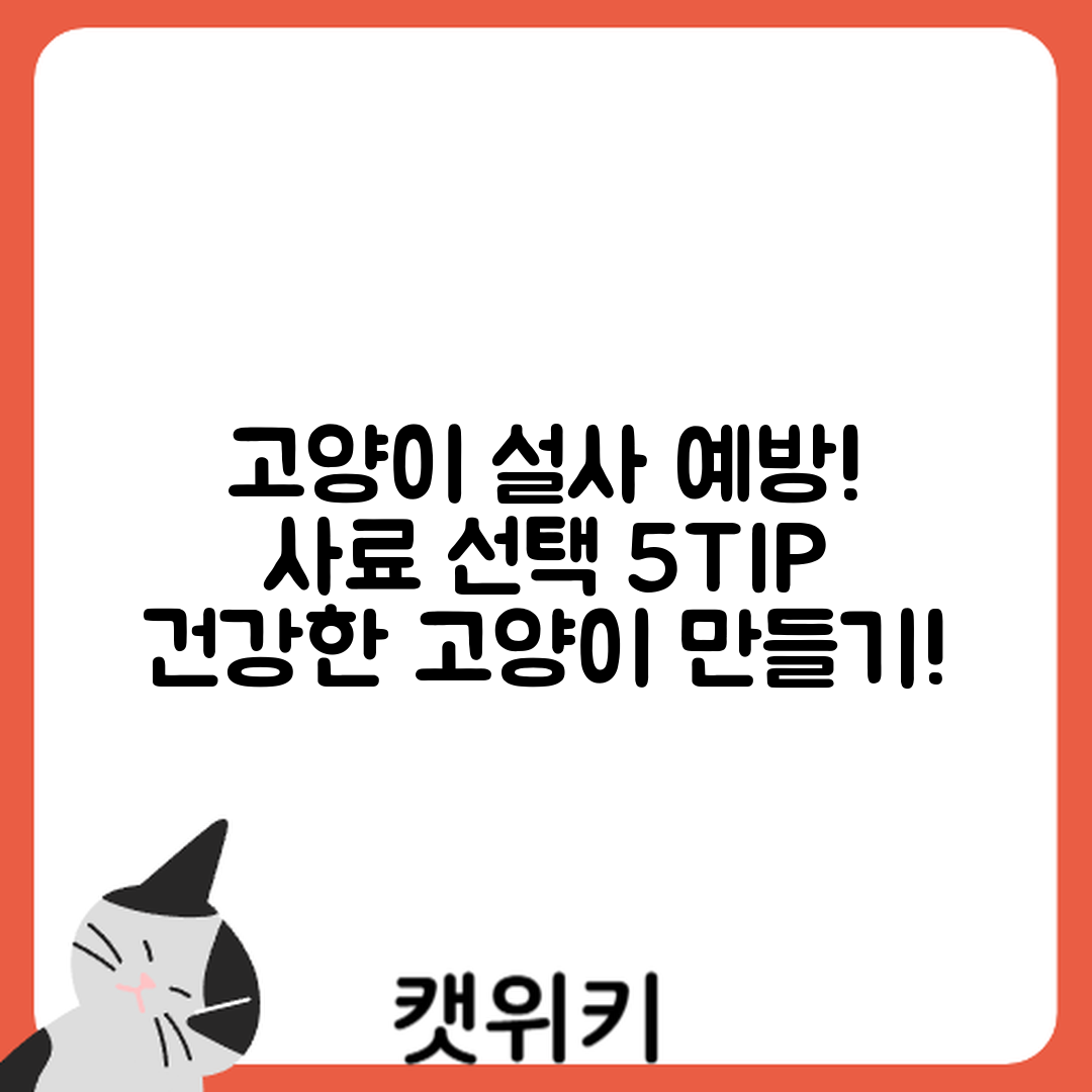 고양이 설사 예방! 사료 선택 5가지TIP