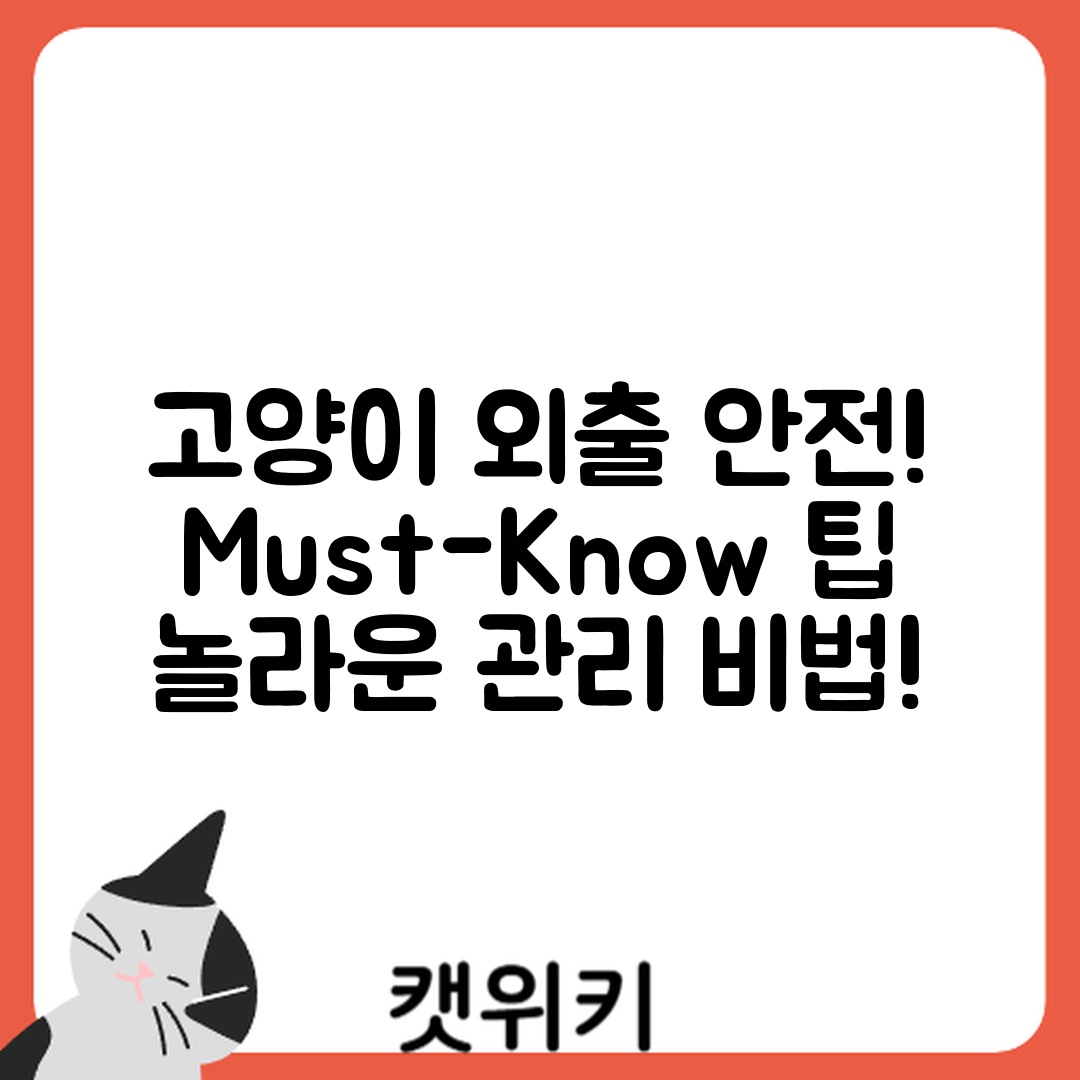 놀라운 고양이 외출 시 안전 관리 팁!