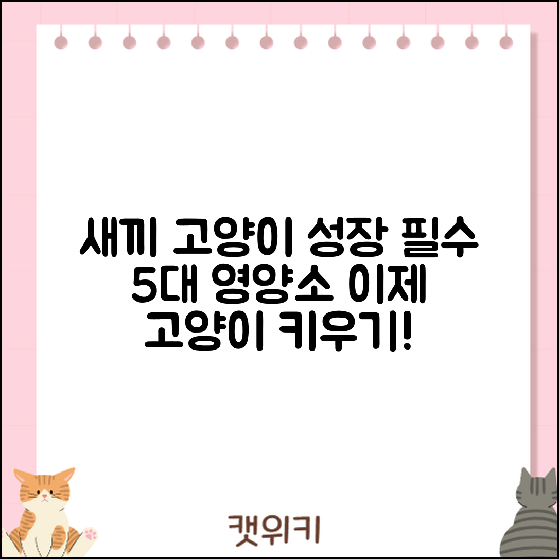 새끼 고양이 성장 단계별 필수 영양소 5가지