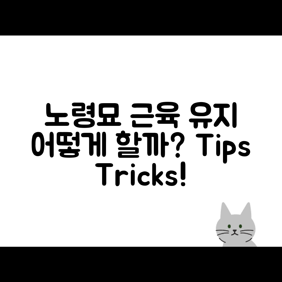 노령묘 근육량 유지, 어떤 방법이 있을까요?