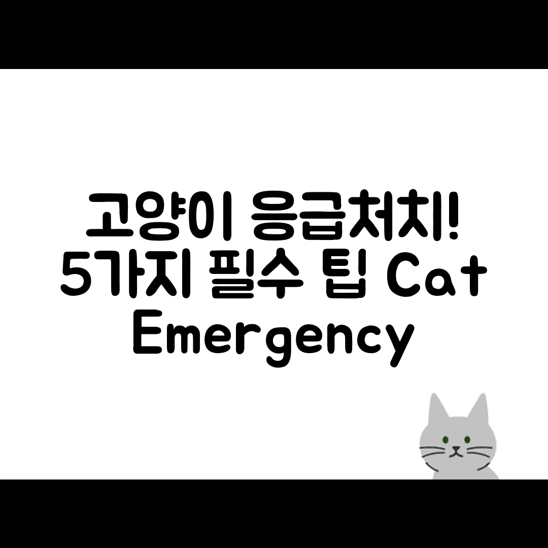 고양이 응급상황 대처법 5가지