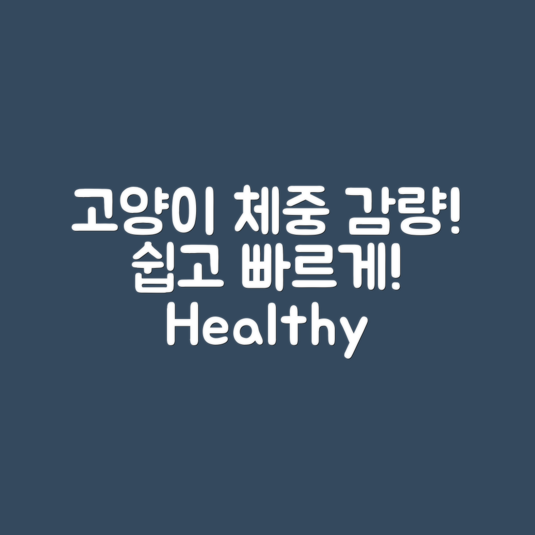 누구나 쉽게 고양이 체중 감량하기!