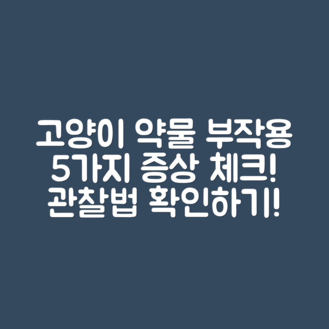 고양이 약물 부작용 체크 5가지 이상 증상 관찰법
