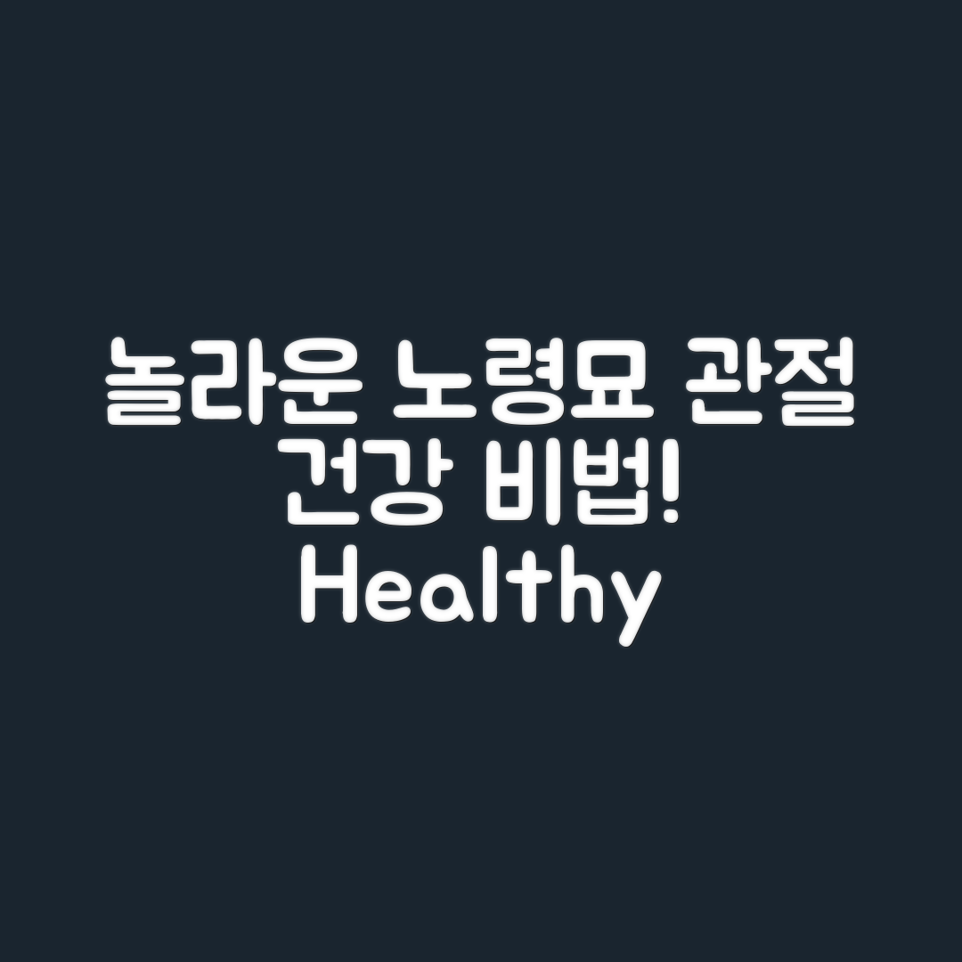 놀라운 노령묘 관절 건강 관리 비법!