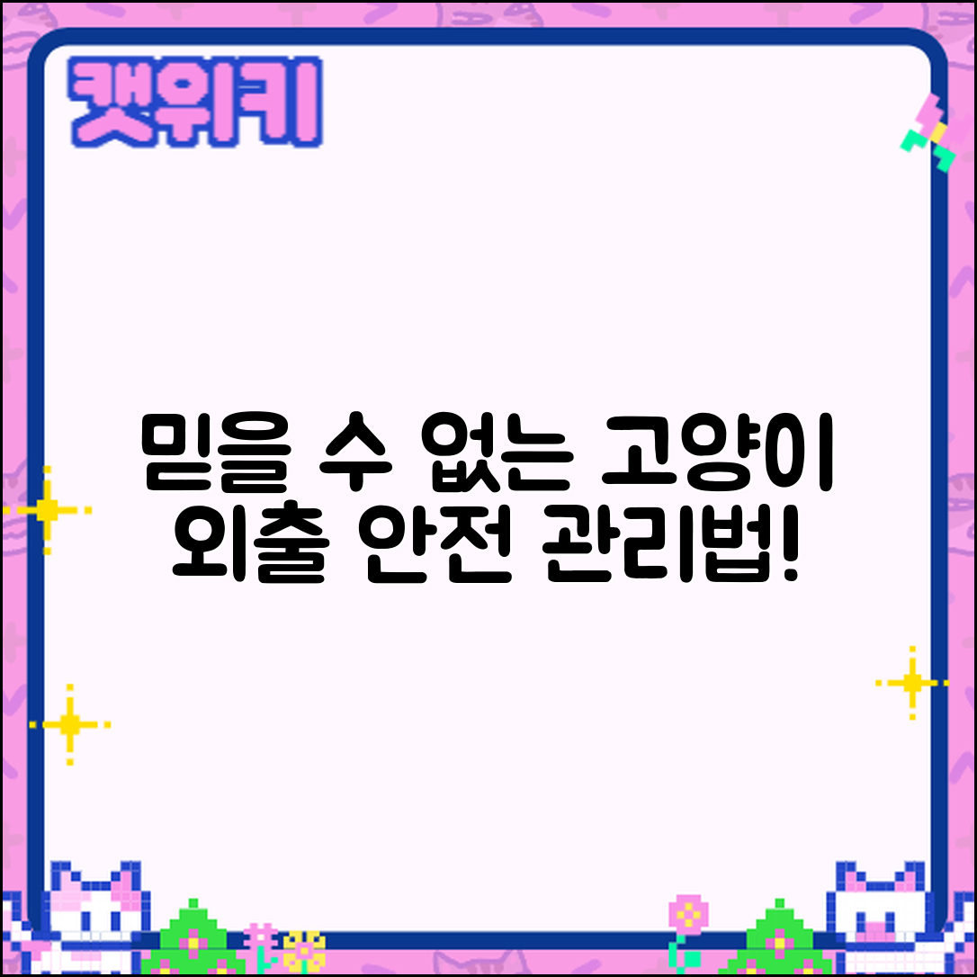 믿을 수 없는 고양이 안전한 외출 관리법!