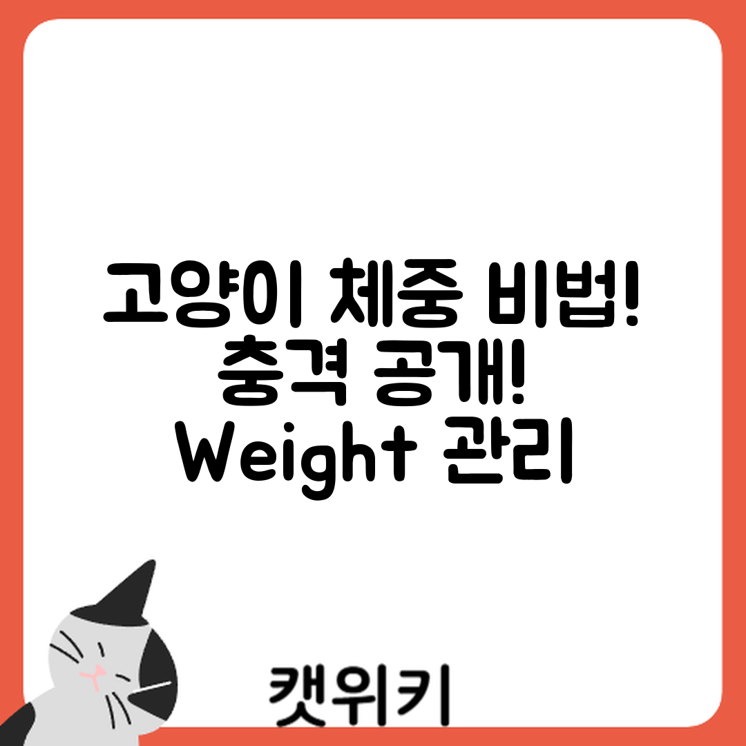 충격적인 고양이 체중 관리 비법 공개!