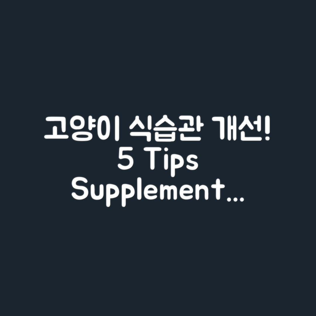 고양이 식습관 교정 5가지 팁과 보조제 활용법