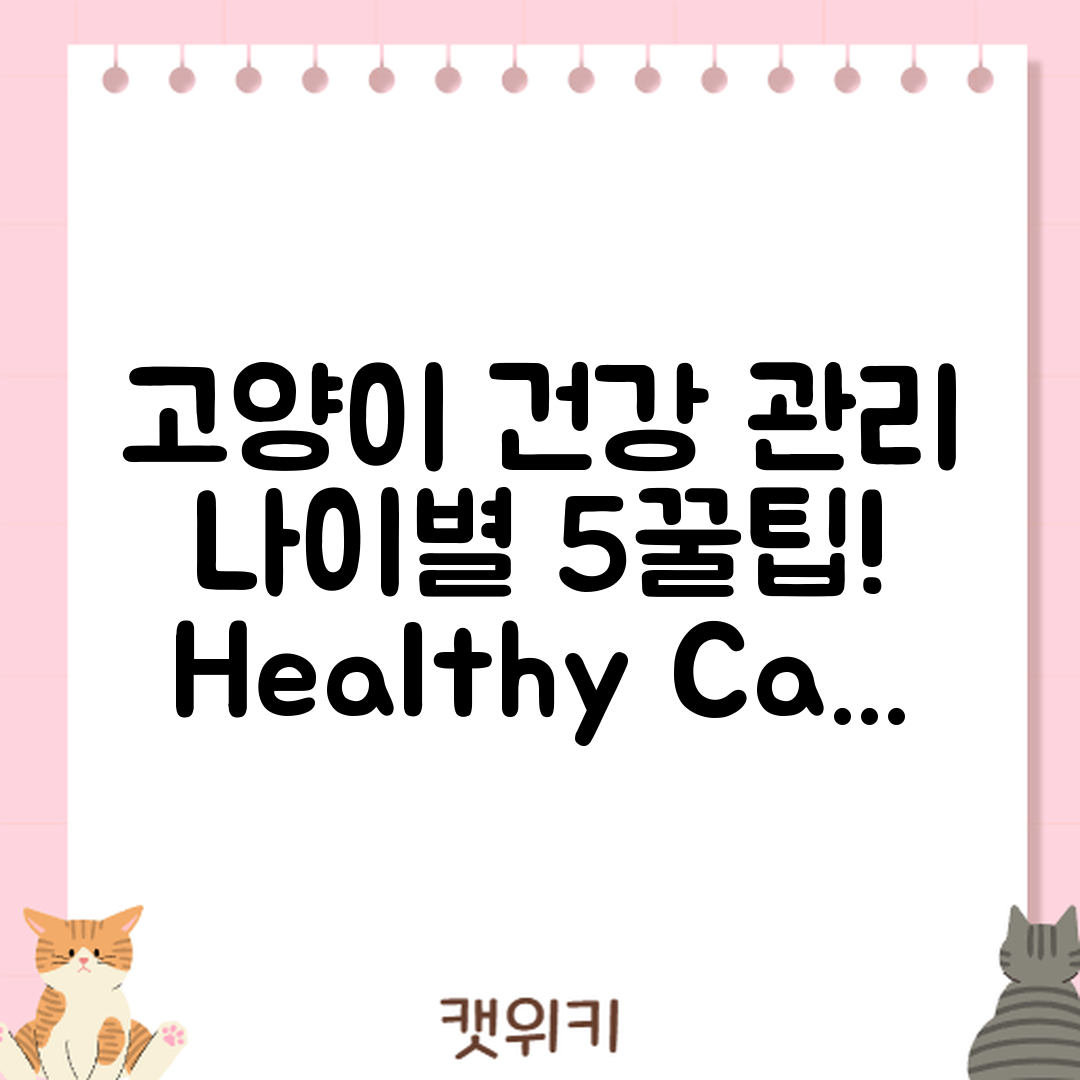 고양이 나이별 건강 관리 비법 5가지