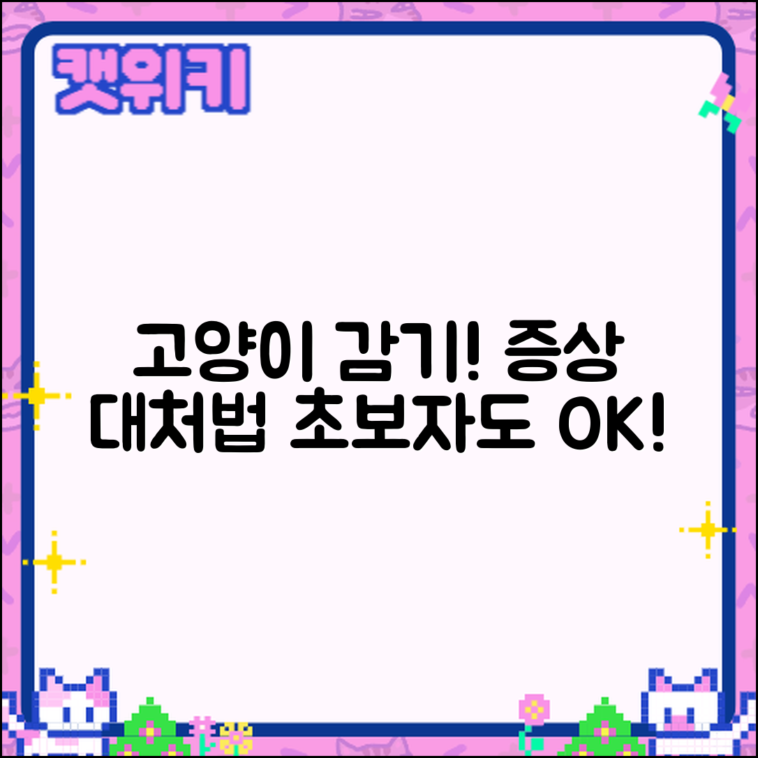 초보자도 쉽게 알 수 있는 고양이 감기 증상과 대응 방법