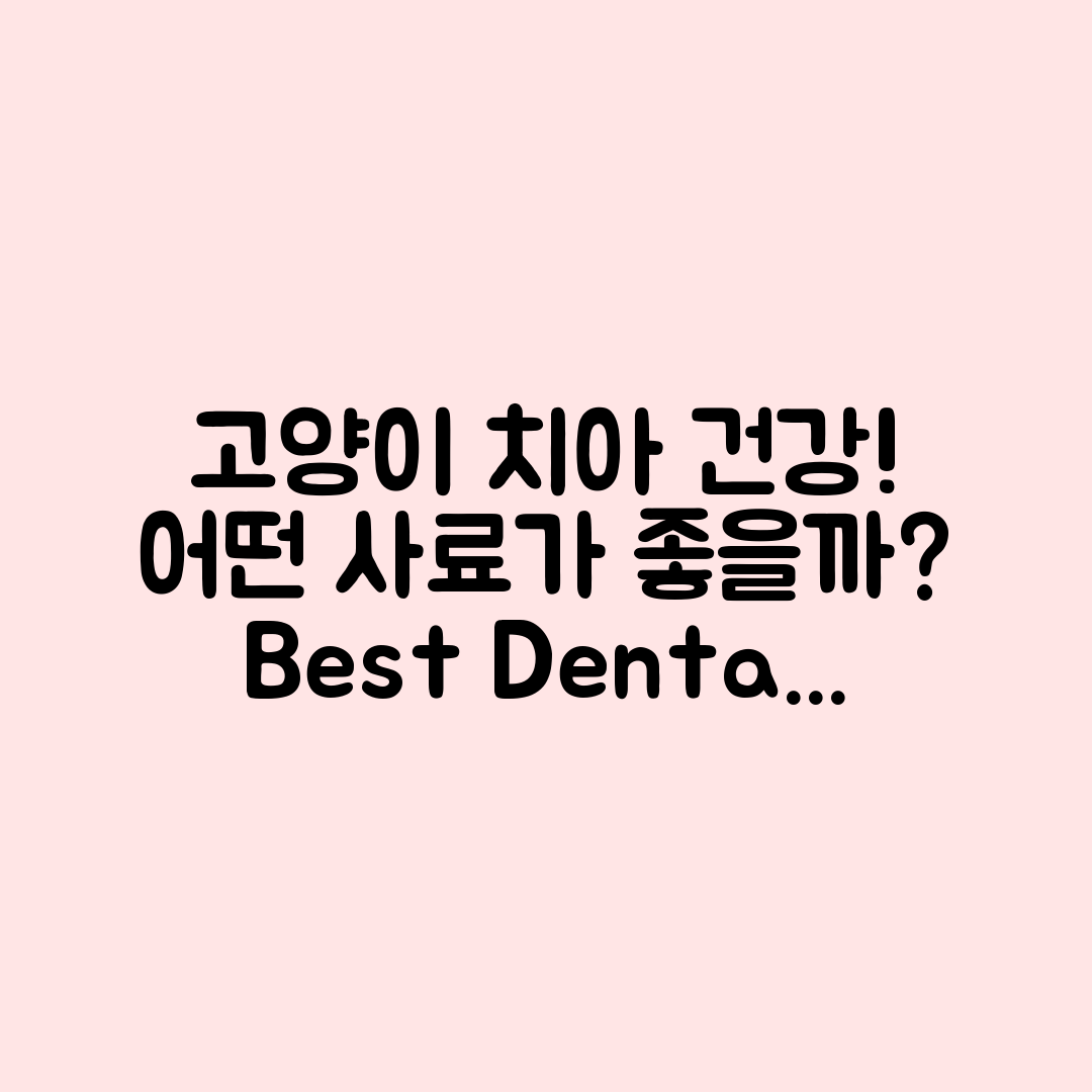 고양이 치아 건강 관리, 어떤 사료가 좋을까요?