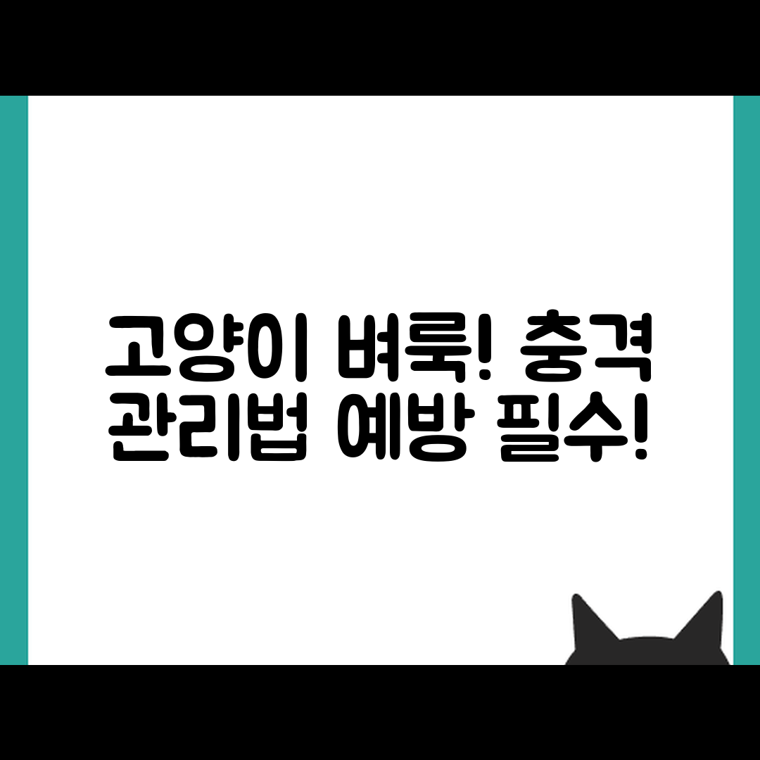 충격적인 고양이 벼룩 진드기 예방과 관리법!