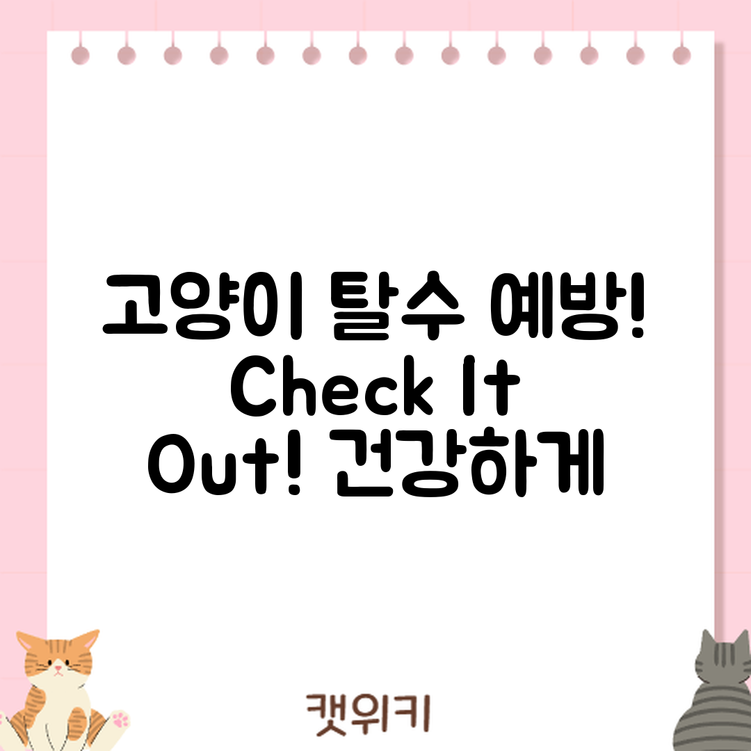 고양이 탈수 예방, 어떻게 할 수 있을까요?