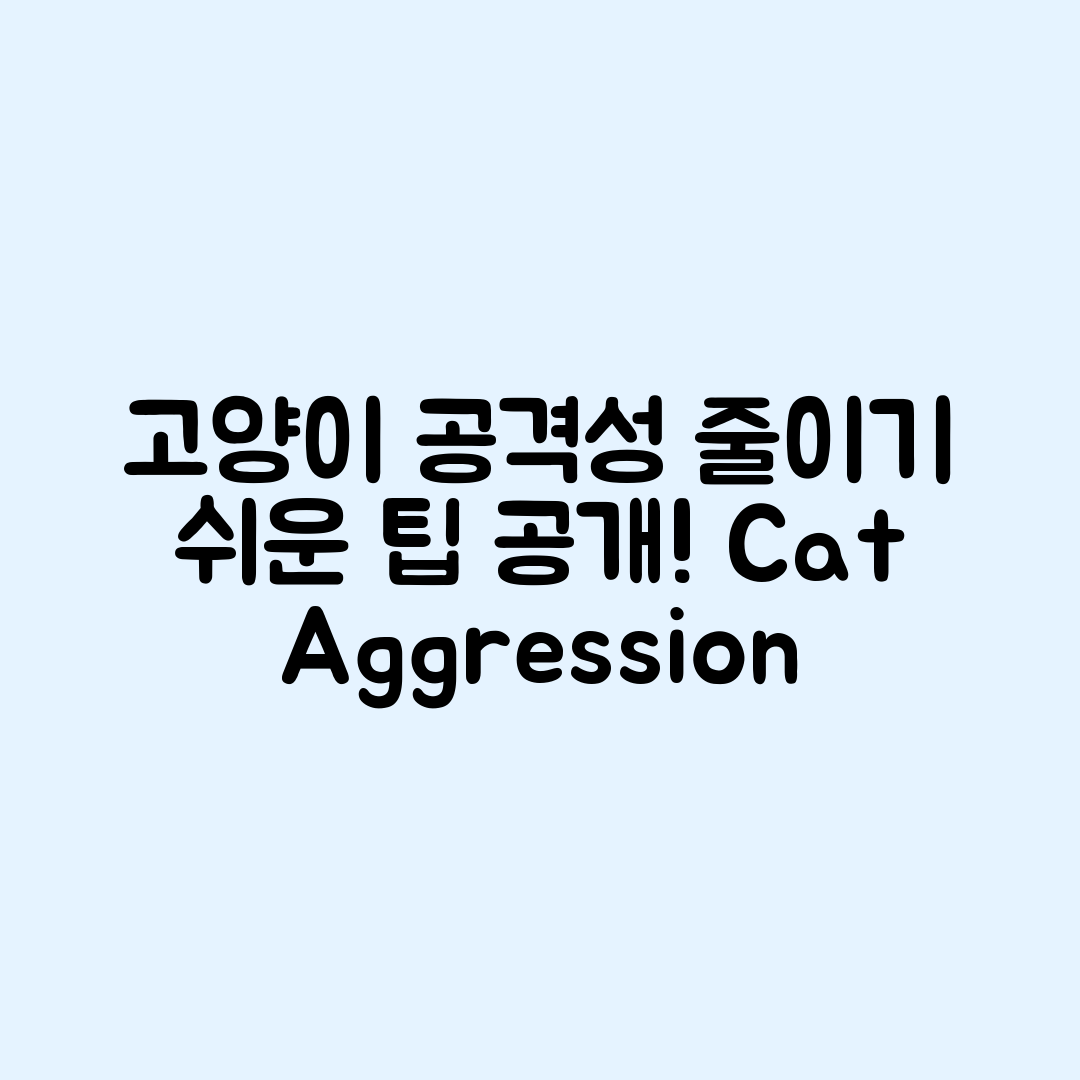 고양이 공격성 줄이는 방법은?
