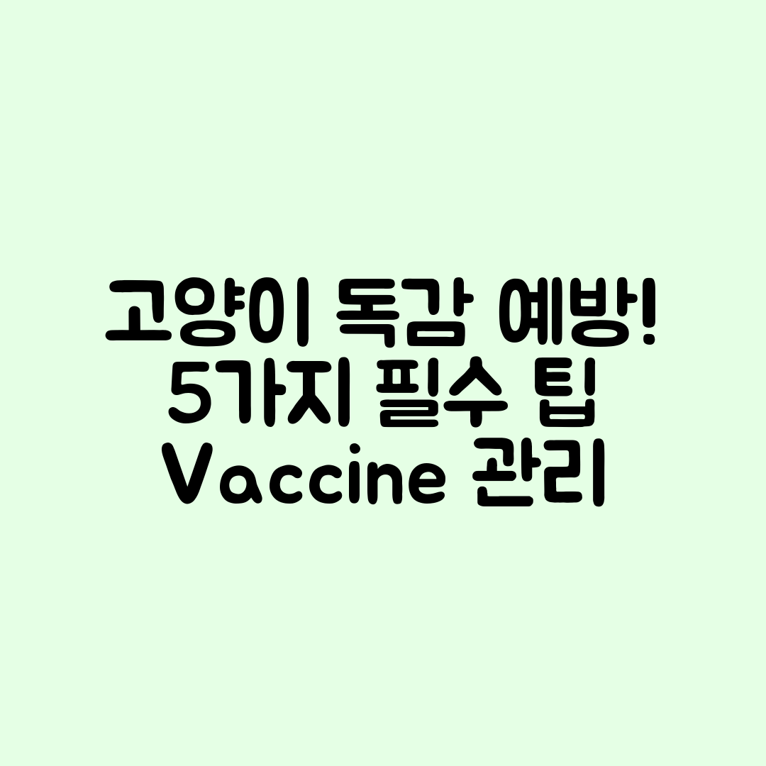 고양이 독감 예방과 백신 관리 5가지