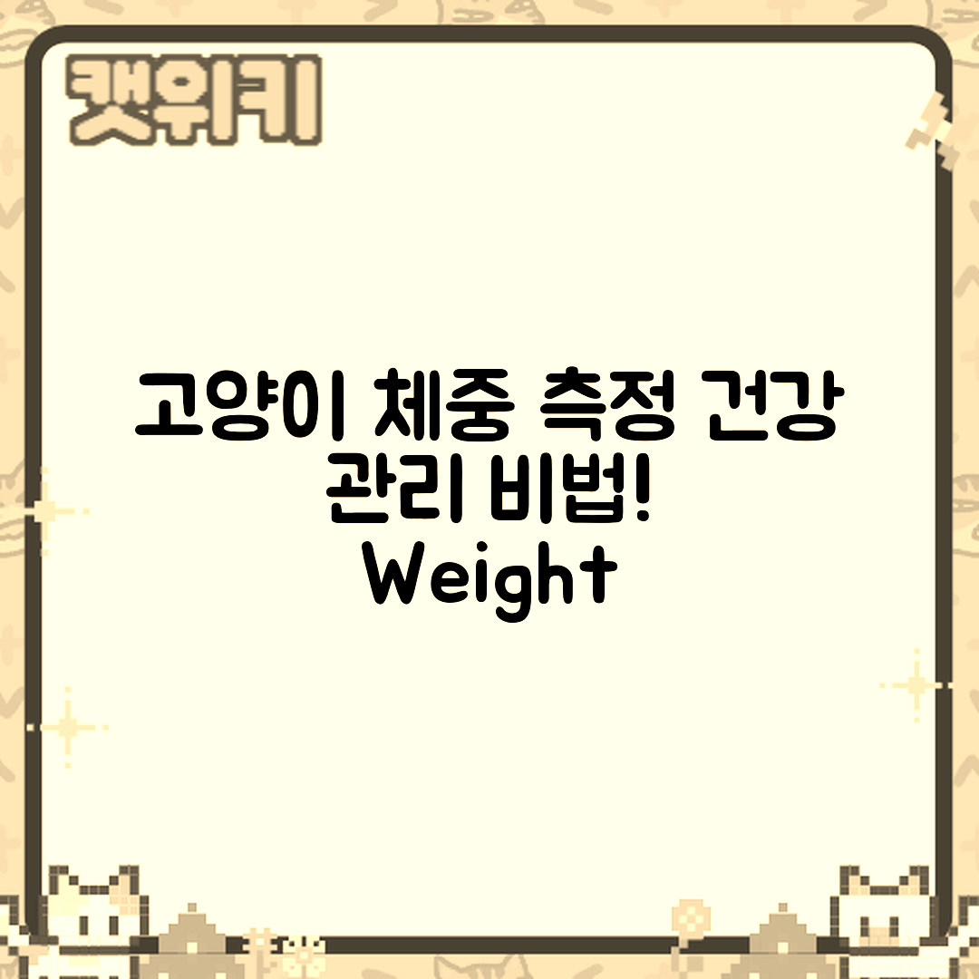 고양이 체중 측정 마스터하기: 건강 관리 비법