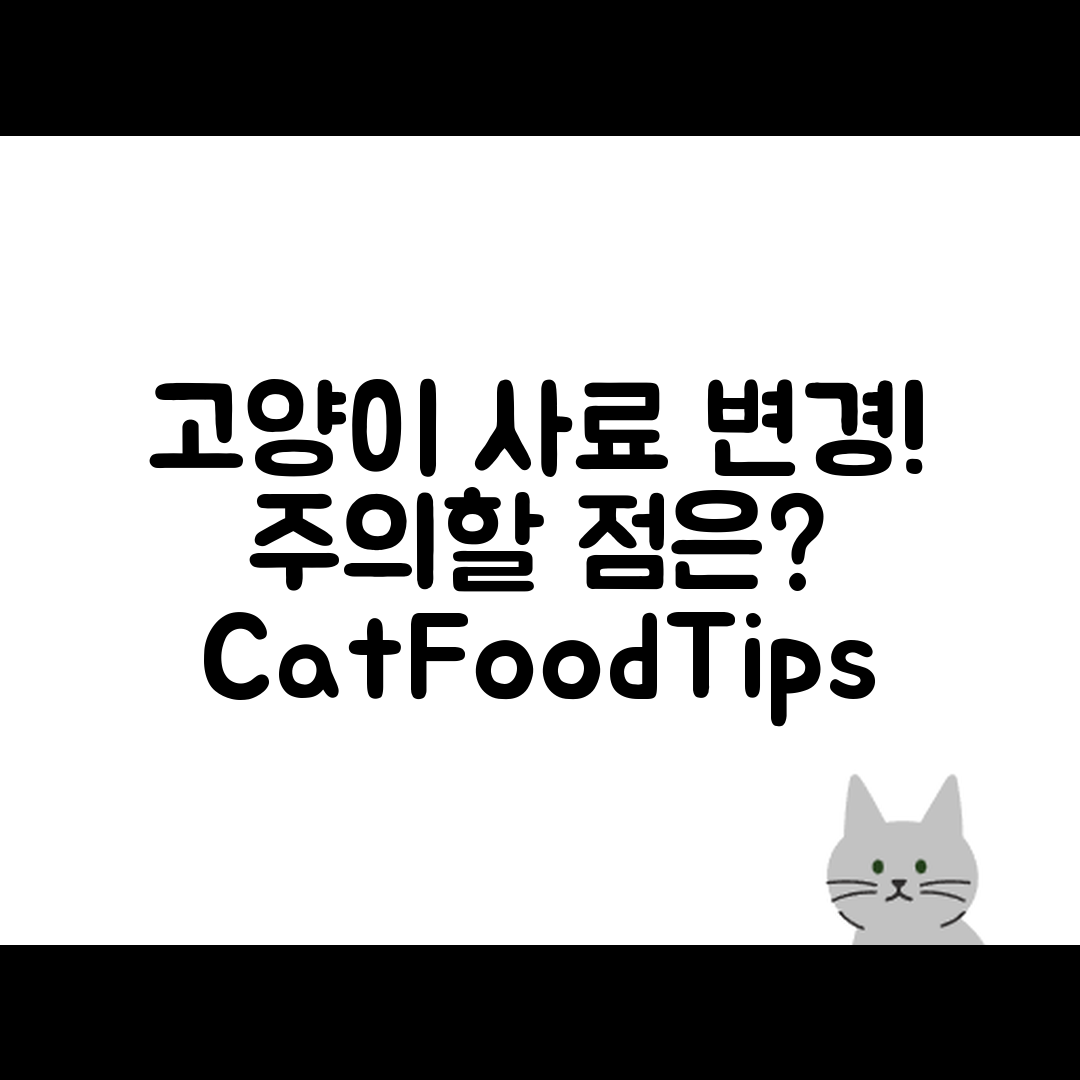 고양이 사료 변경, 주의할 점은?