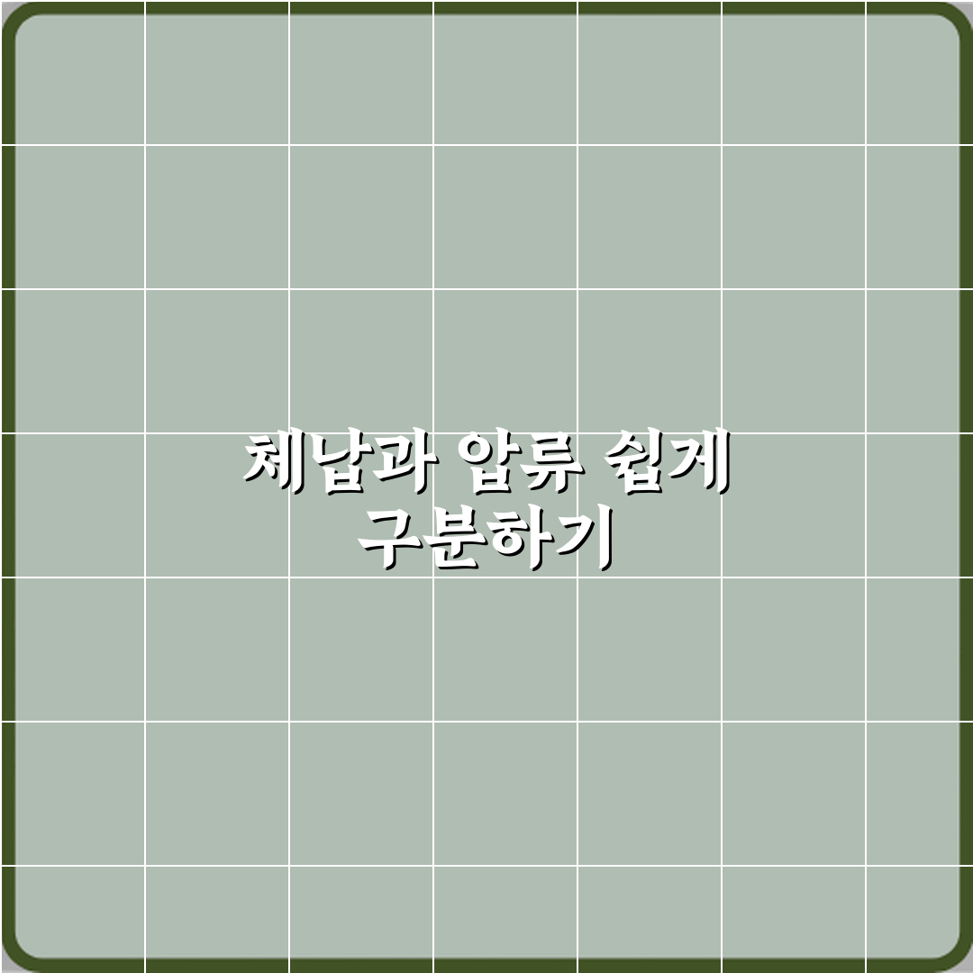 체납과 압류 차이 행정 절차 비교 꿀팁 공유해요 친구야